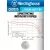 литиевая батарейка Westinghouse CR2025-BP1 